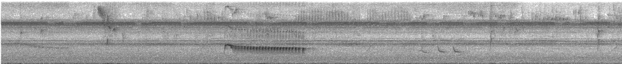 Trepatroncos Cabecirrayado - ML645707975