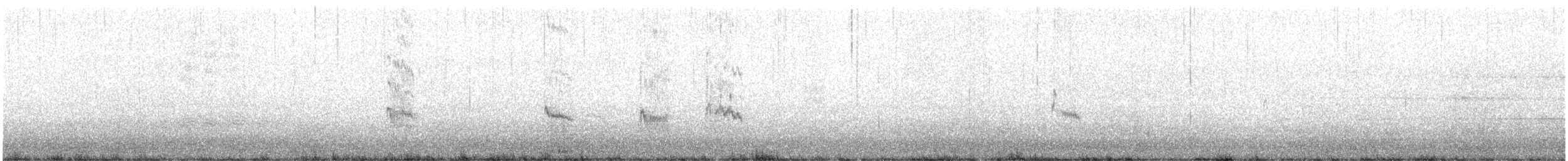 Correlimos Común - ML645708061