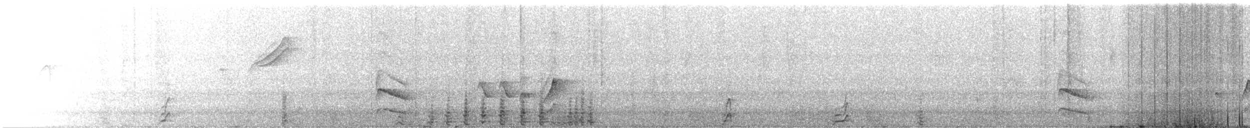 Chachalaca Moteada - ML645708095