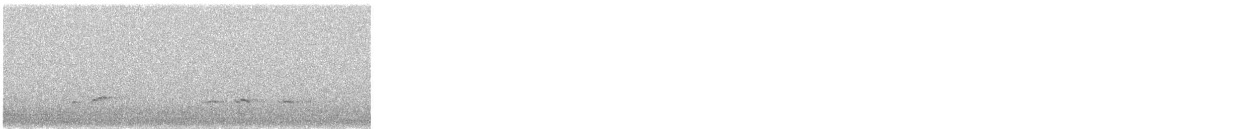 Cerceta Común (Euroasiática) - ML645708120