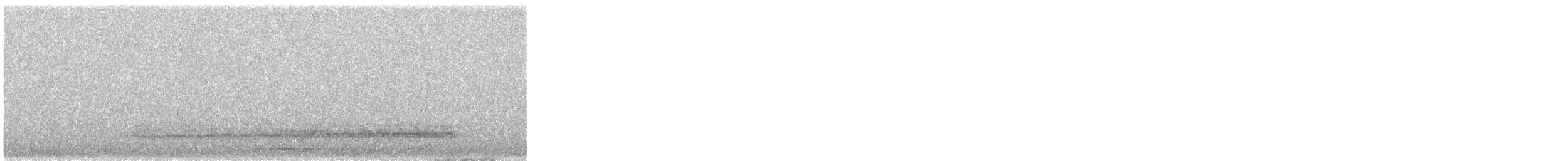 Lechuza Común Occidental - ML645708124