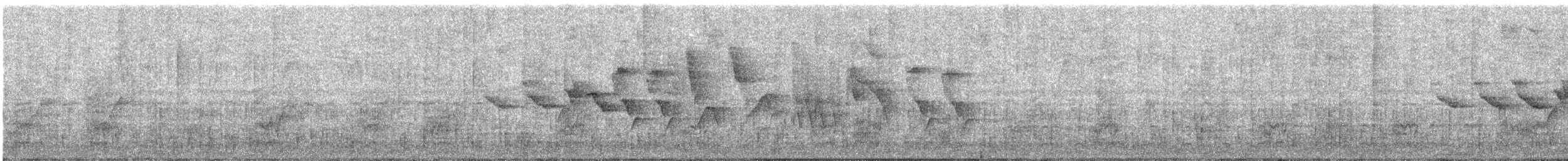 Semillero Ventriamarillo - ML645708245