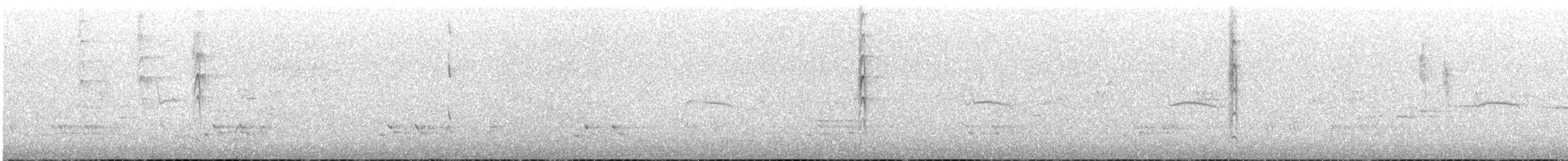 Abanico Gris (preissi) - ML645708253