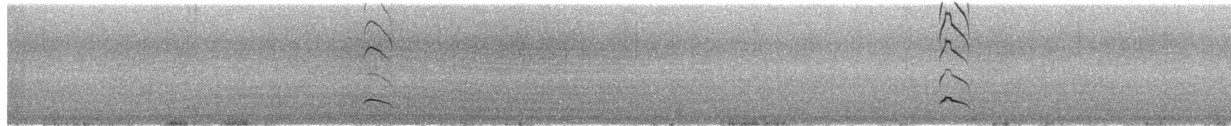 Avustralya Kara Poyrazkuşu - ML645708298