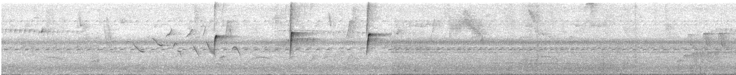 Olivscheitel-Breitschnabeltyrann - ML645708321