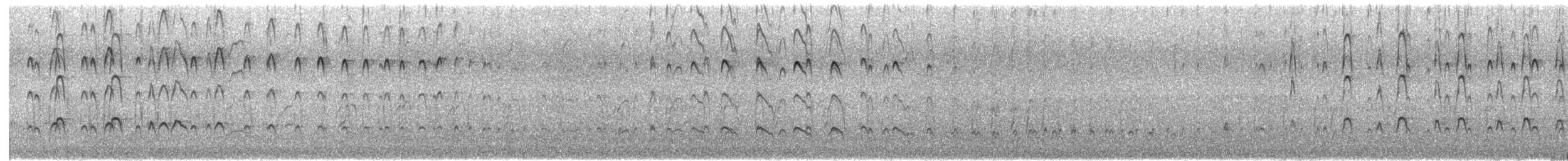 Avustralya Poyrazkuşu - ML645708378