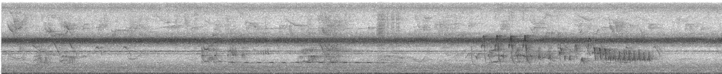 Benekli Ağaçkakan - ML645708511