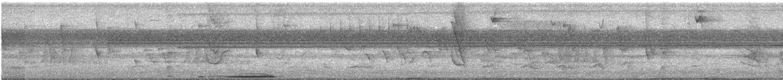 Colombe de Verreaux - ML645708599