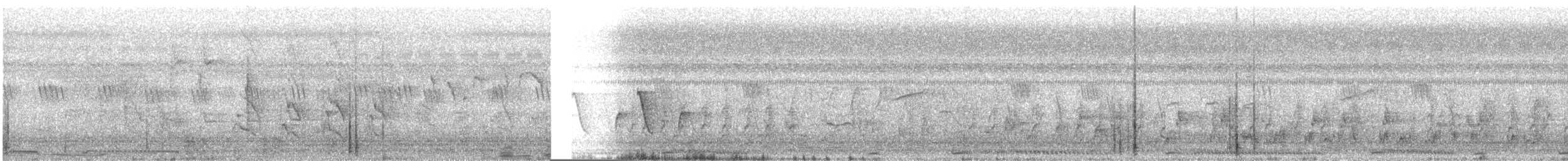 Küpeli Üveyik - ML645708813