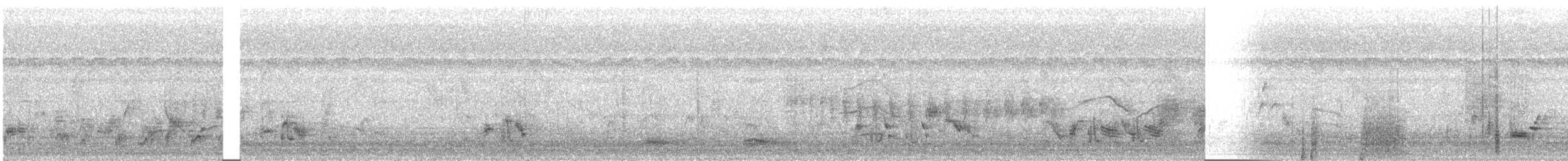 Alaca Yalıçapkını - ML645708827