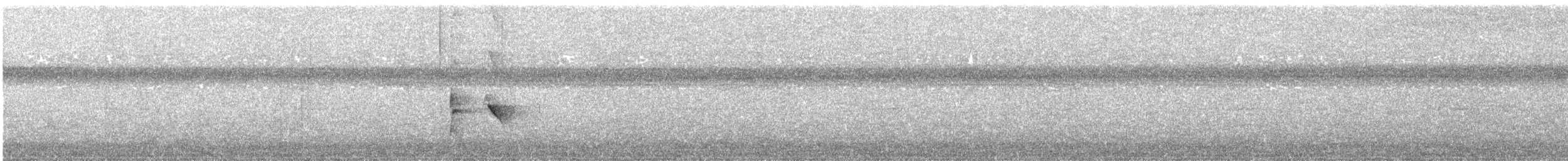 Striolated Manakin - ML645709284