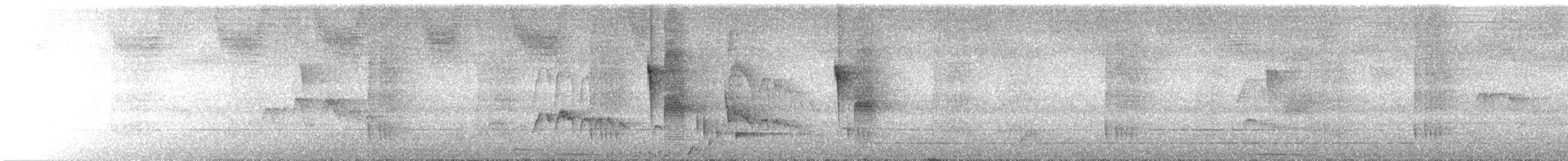 Rundschwanzpipra - ML645709488