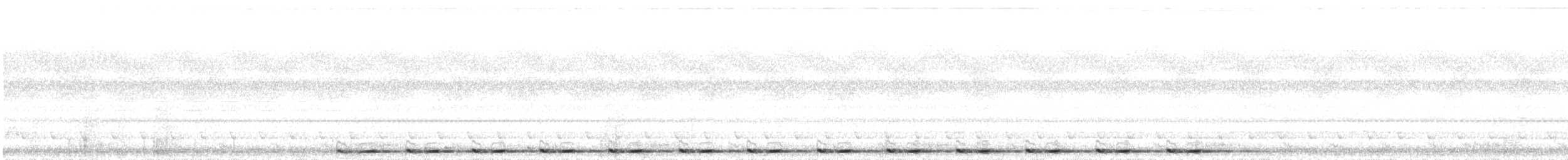 barbet zlatovousý - ML645709887