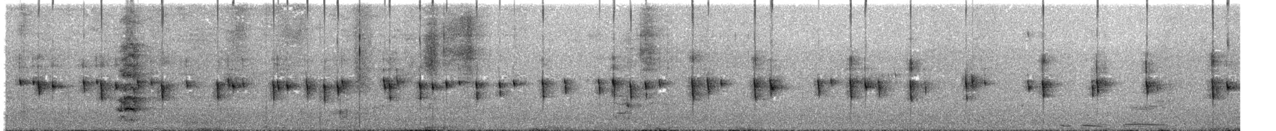 White-throated Treerunner - ML645709896