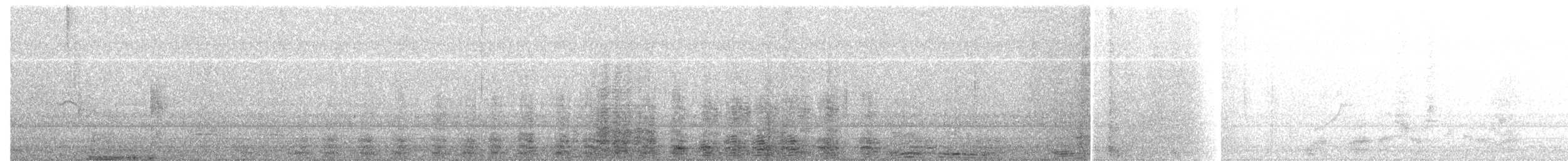 Cormorán Grande (Continental) - ML645710435