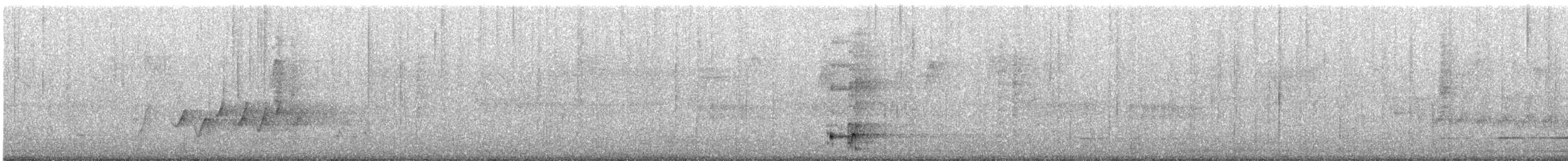 Western Wattlebird - ML645710756