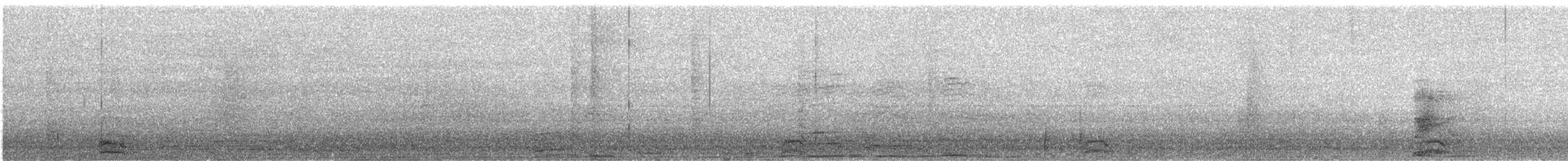 Common Raven - ML645711185