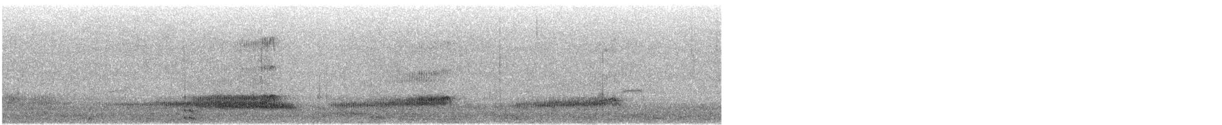 Western Barn Owl (Eurasian) - ML645711311