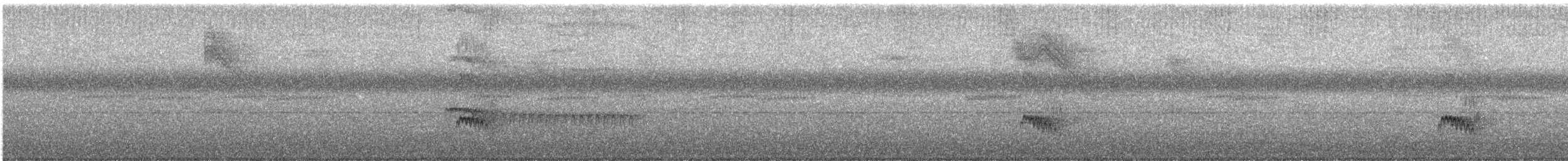 Streak-headed Woodcreeper - ML645711312