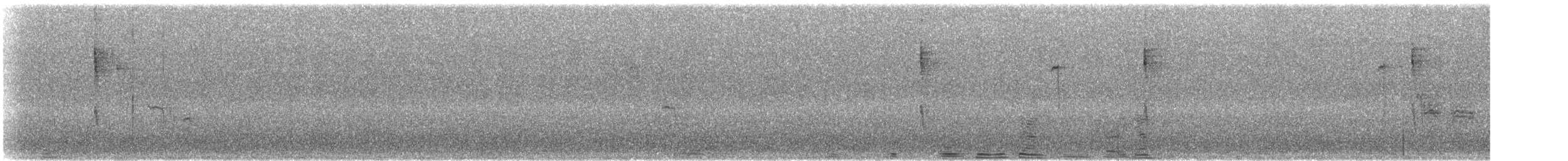 Pacific Wren - ML645711313