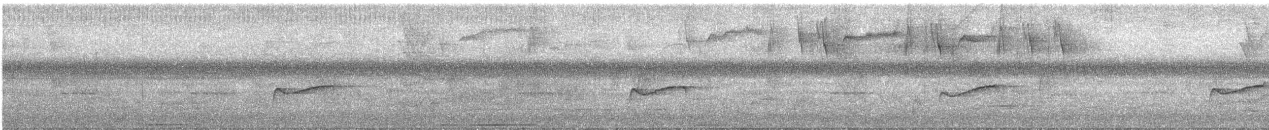 Eastern Wood-Pewee - ML645711387