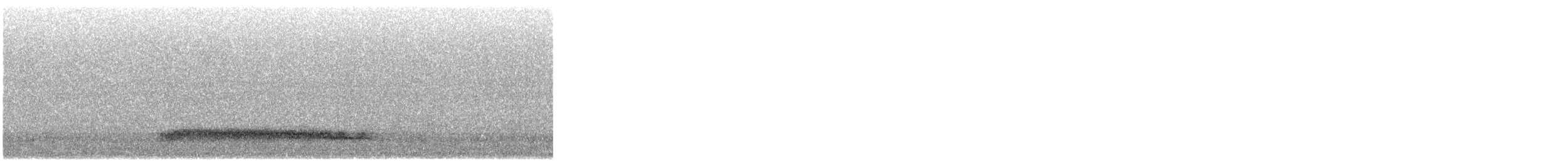 Western Barn Owl (Eurasian) - ML645711501