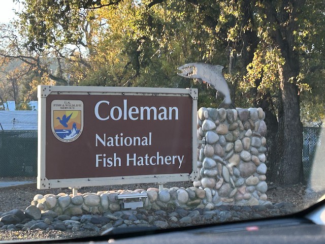 Coleman National Fish Hatchery