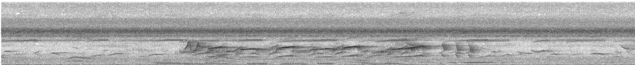 Blackish Rail - ML645711529