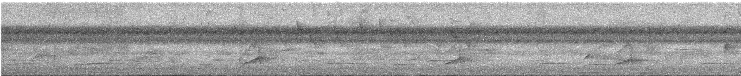 Great Crested Flycatcher - ML645711597