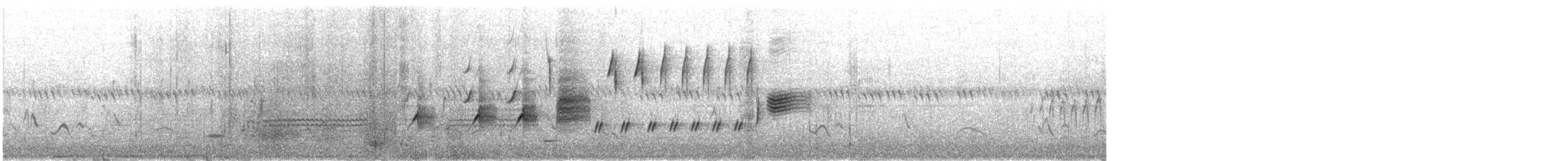 Singammer - ML645711712