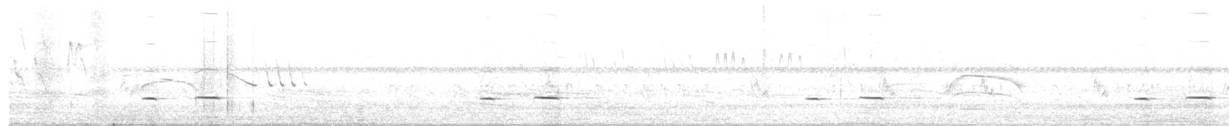 Streifenkuckuck - ML645712223