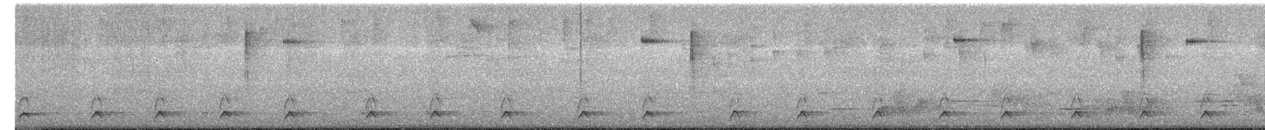 Schwarztapaculo - ML645712257