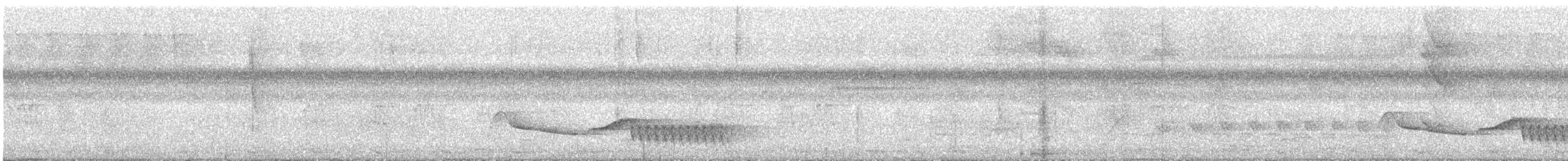 Corayazaunkönig - ML645712547