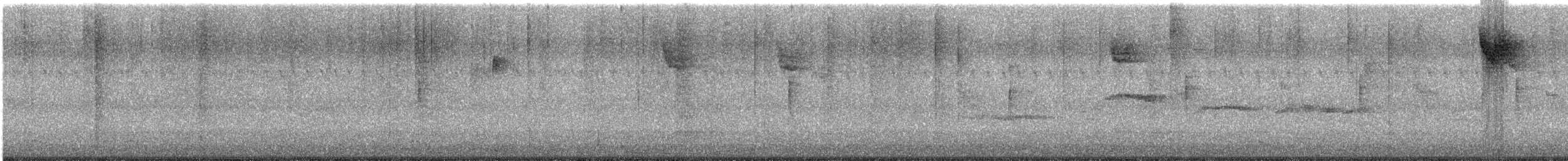 Kronenwaldsänger - ML645712555