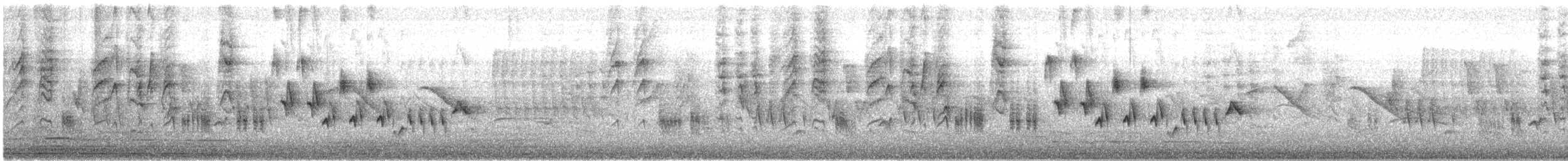 Southern House Wren - ML645713085