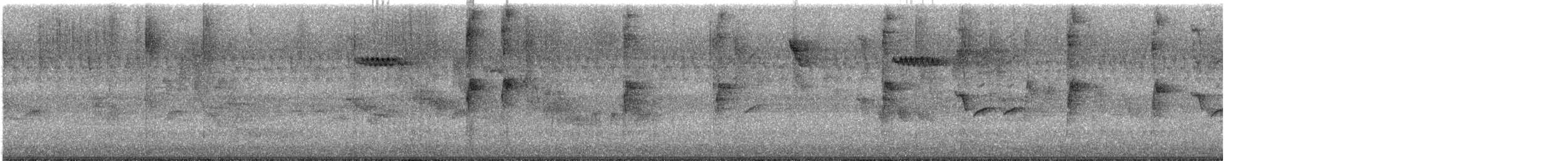 Brown Creeper - ML645713295