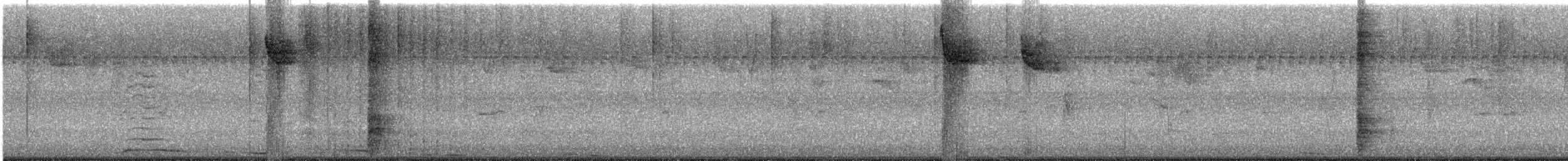 Zanate Común - ML645713821