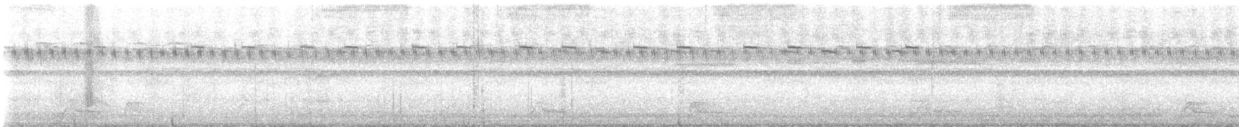 Common Pauraque - ML645714079