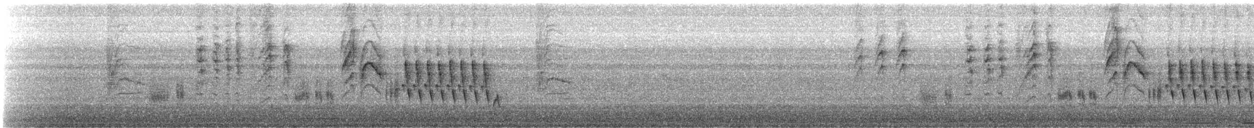 Southern House Wren - ML645714211