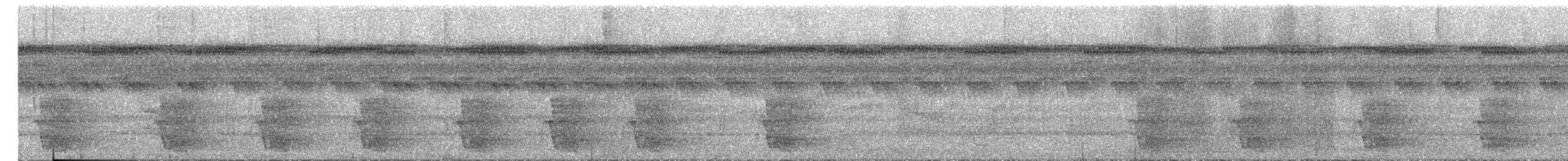 Kawall's Amazon - ML645714226