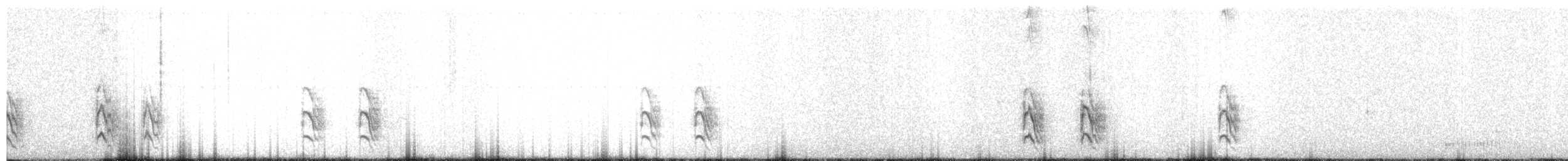 Rusty-backed Antwren - ML645714289