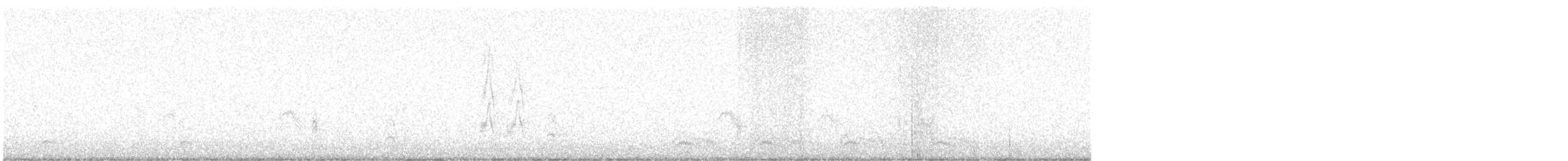 Mokolodi bekainoria - ML645714507