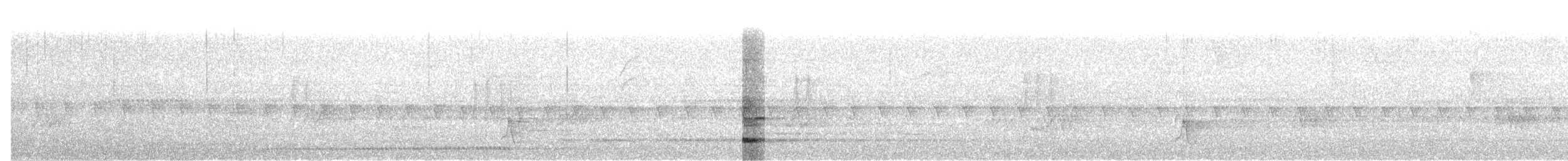 White-breasted Tapaculo - ML645714533