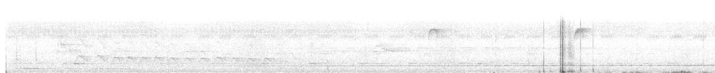 Such's Antthrush - ML645714544