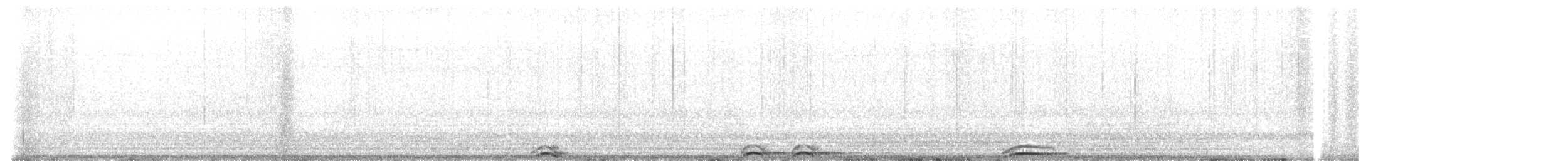 Spotted Owl - ML645714905