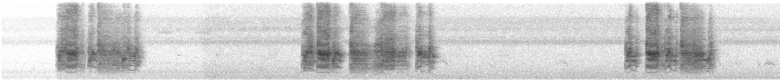 Black Drongo - ML645715153