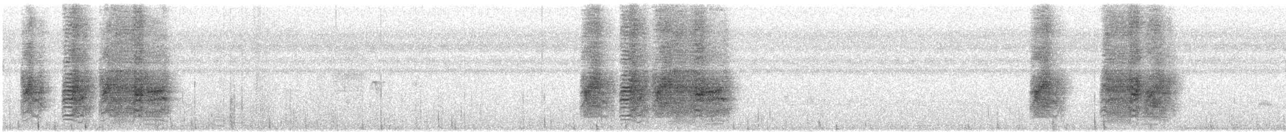 drongo černý - ML645715155