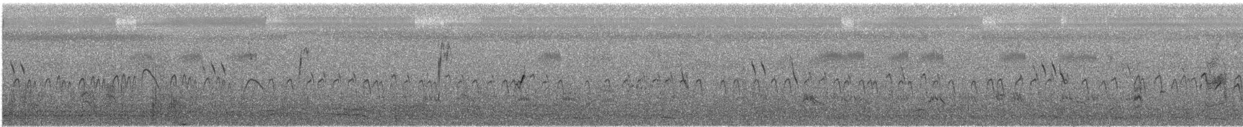 Little Stint - ML645715162