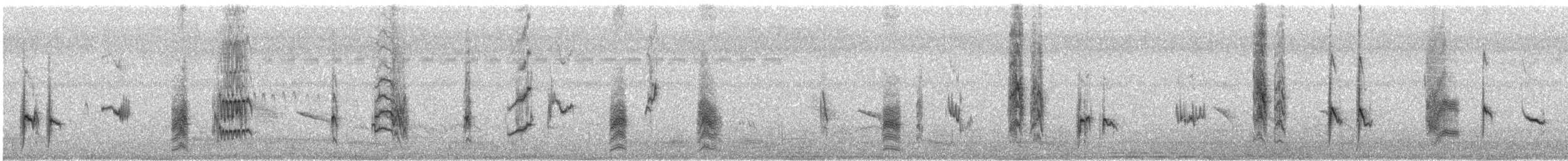 Long-tailed Shrike - ML645715186