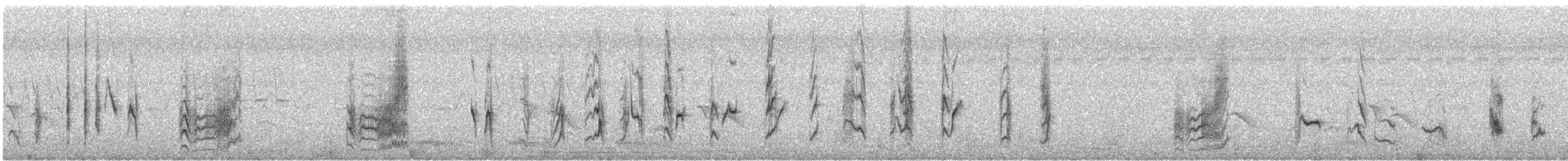 Long-tailed Shrike - ML645715187